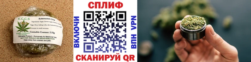 где купить наркоту  Королёв  Cannafood марихуана 