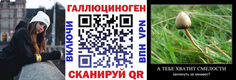 Галлюциногенные грибы Cubensis  наркота  Королёв 